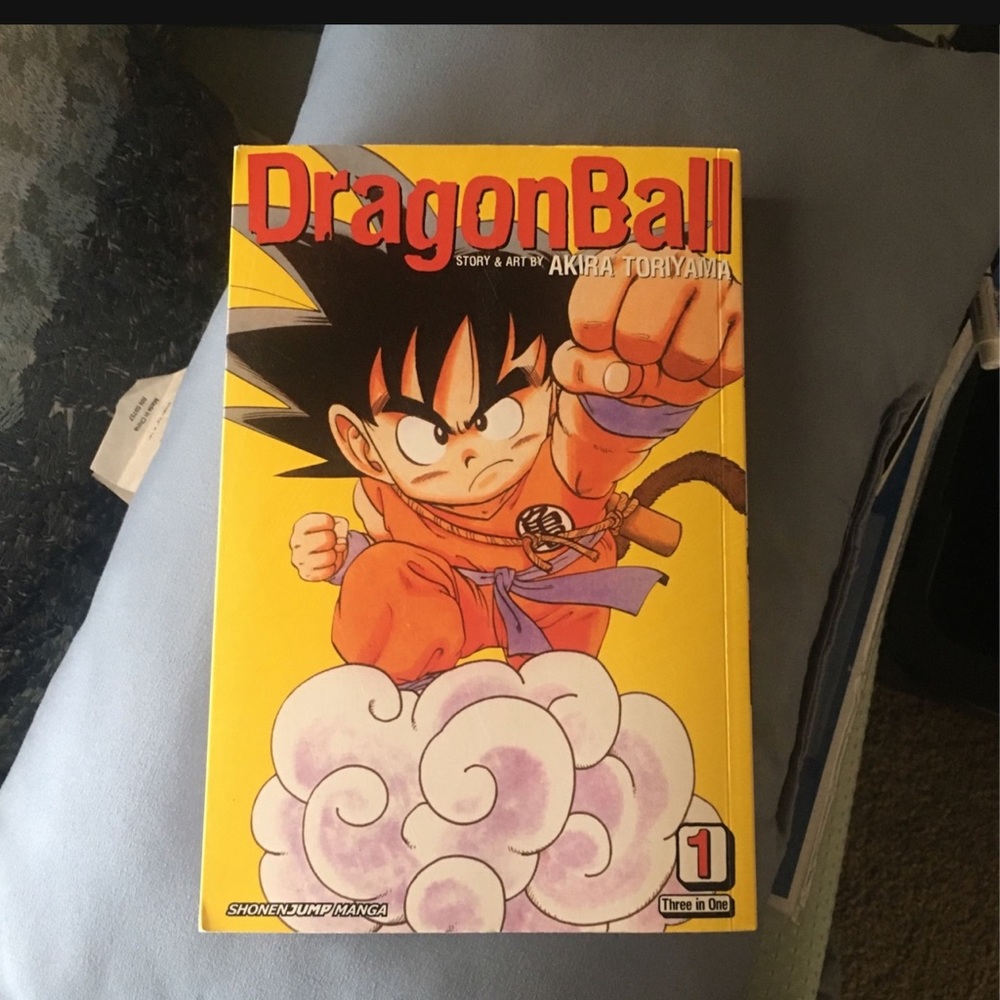 Dragon ball book